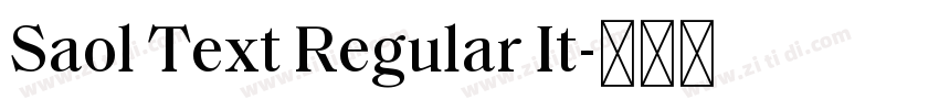 Saol Text Regular It字体转换